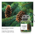 Yankee Candle Car Jar Ultimate Hanging Car Air Fresheners, Balsam & Cedar, 0.96 oz (Pack of 12)